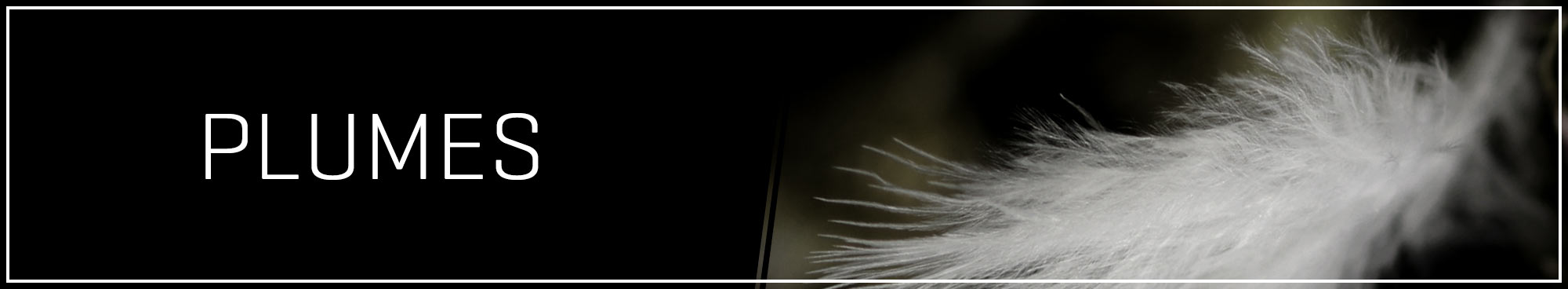HOM Plumes HOM Plumes