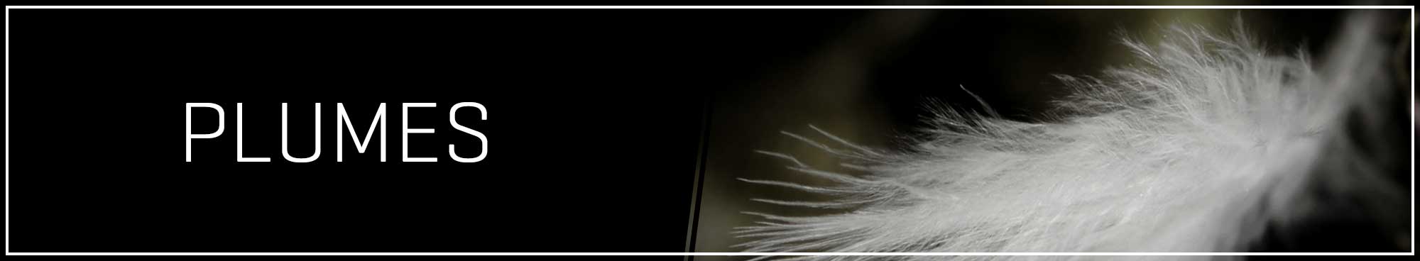 HOM plumes ondergoed HOM plumes